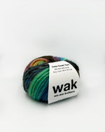 Color Crush Yarn Aurora Fade