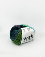 Color Crush Yarn Seaglass Fade