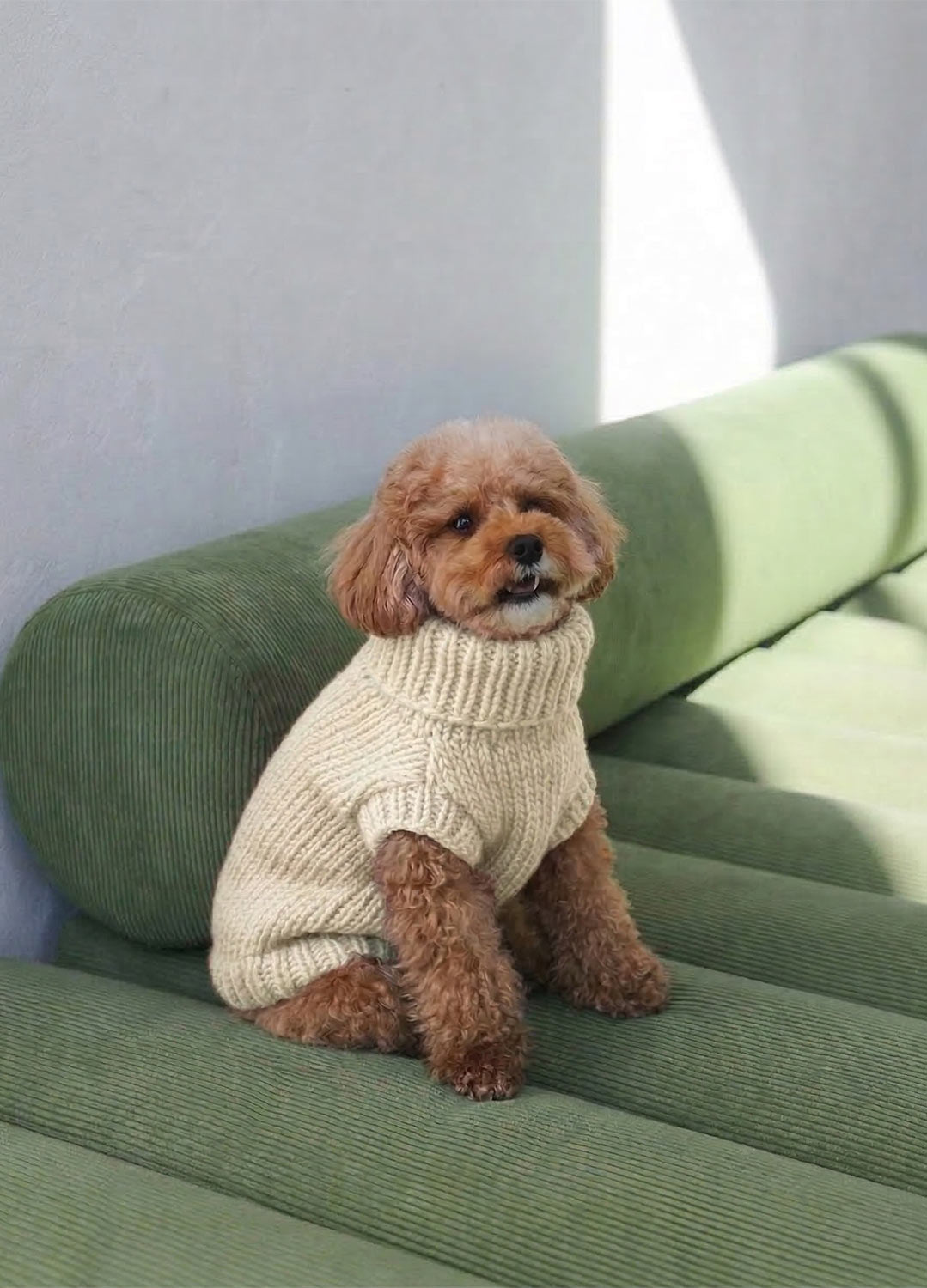 Scooby Sweater Kit for Pets - Yummy Version