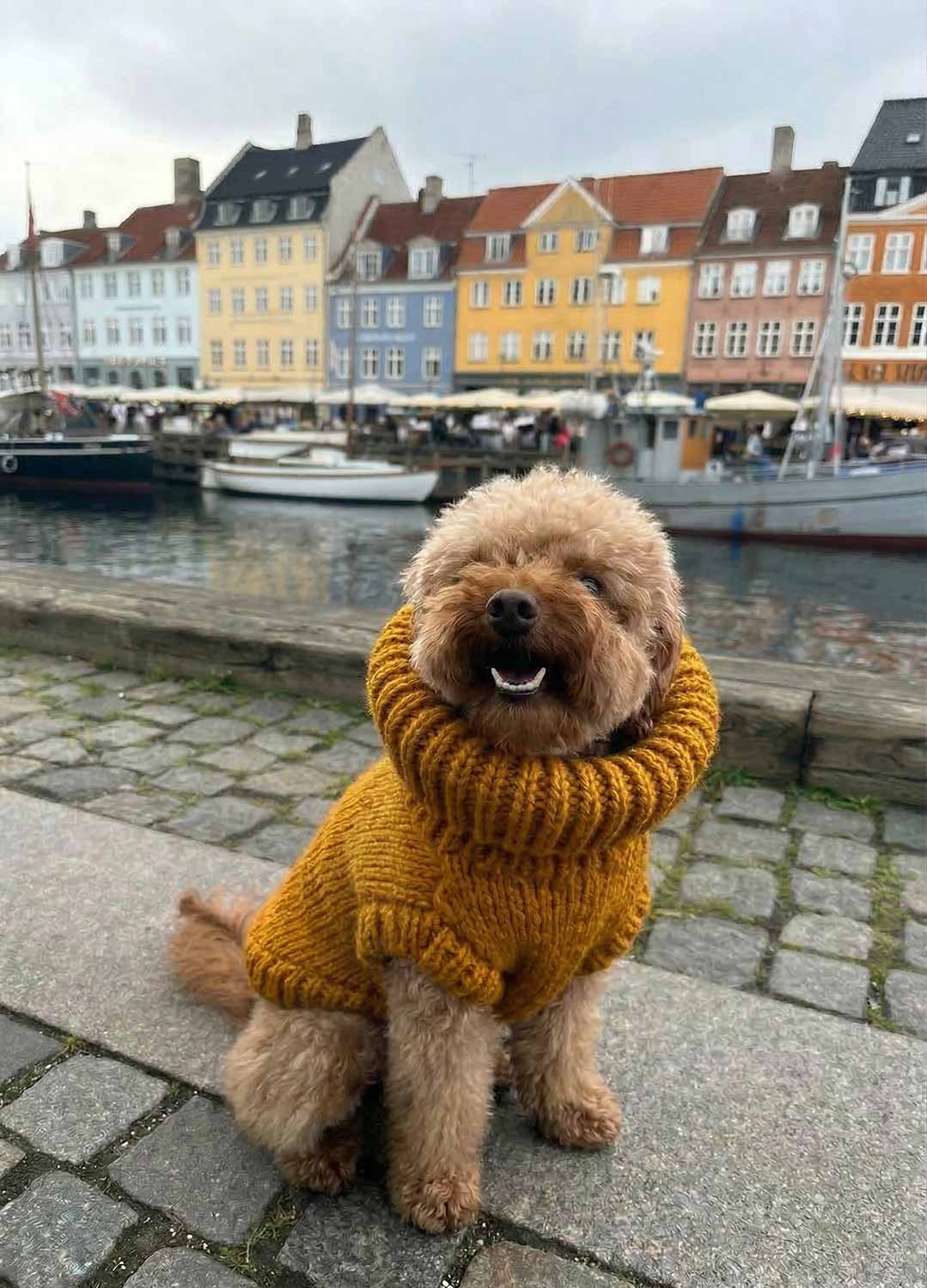 New Pet Kit Collection - Coming Soon