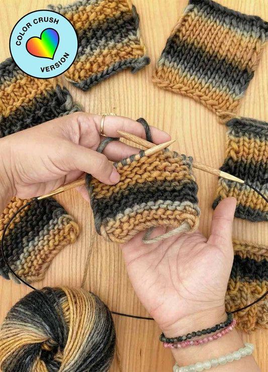 Stitch Sampler Kit - Color Crush Self Striping Version: Learn The Basics Knitting Kit - Make your first Snood