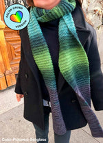 Vega Scarf Kit - Color Crush: Self Striping Version